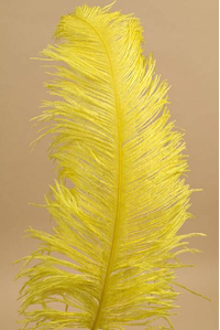 18"-22" OSTRICH FEATHER YELLOW PKG/12