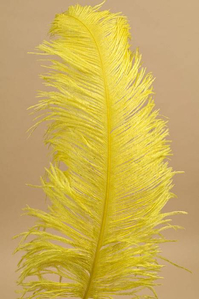 18"- 22" SINGLE OSTRICH FEATHER YELLOW
