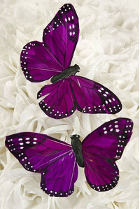 5" PURPLE BUTTERFLY PKG/12