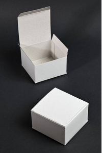 4" X 4" X 2" ONE PIECE BOX WHITE PKG/25