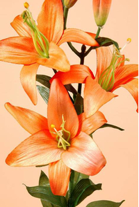 28" GARDEN LILY SPRAY ORANGE