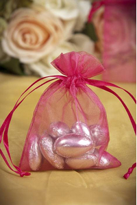 3" X 4" SHEER POUCHES BAG HOT PINK PKG/12