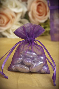 3" X 4" SHEER POUCHES BAG PURPLE PKG/12