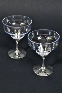 4.5" PLASTIC CHAMPAGNE GOBLETS SILVER/CLEAR PKG/12