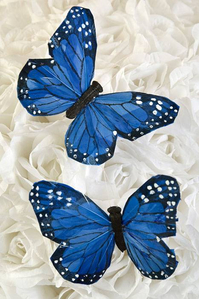 5'' BUTTERFLY BLUE PKG/12