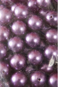 18MM ABS PEARL BEADS PURPLE PKG(500g)