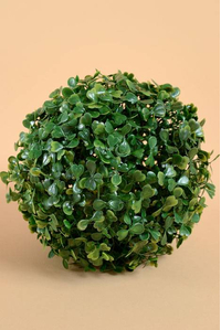 6" BOXWOOD BALL GREEN