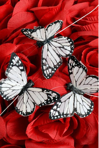 3" ARTIFICIAL BUTTERFLY BLACK/WHITE PKG/12