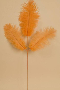 28" FEATHER SPRAY ORANGE