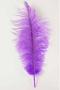 14"-16" OSTRICH FEATHER LAVENDER PKG/12