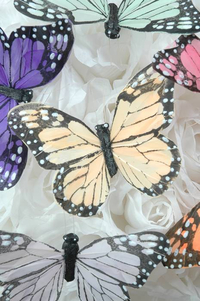 5" BUTTERFLY ASSORTED PKG/12