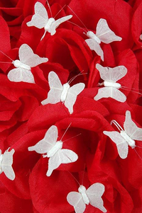 0.5" MINI NYLON ARTIFICIAL FABRIC BUTTERFLY WHITE PKG/12