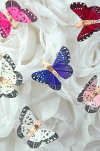 1" MINI BUTTERFLY ASSORTED PKG/12