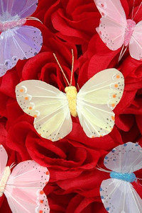3" PASTEL BUTTERFLY ASSORTED PKG/12