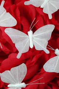 3" NYLON WHOLESALE FABRIC BUTTERFLY W/CLIP WHITE PKG/12