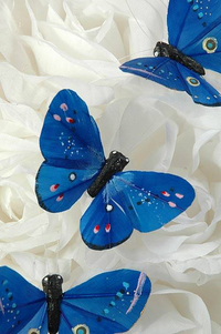 3" BUTTERFLY ROYAL BLUE PKG/12