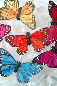 3" BUTTERFLY ASSORTED PKG/12