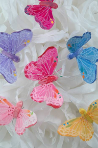 2" BUTTERFLY ASSORTED PKG/12