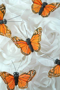 2" BUTTERFLY MONARCH PKG/12