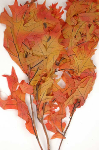 TRANSPARENT OAK LEAVES 1LB AUTUMN