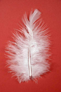 3.5" OSTRICH FEATHERS WHITE PKG/100