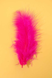 3.5" OSTRICH FEATHERS HOT PINK PKG/100