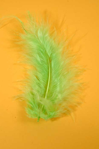 3.5" OSTRICH FEATHERS LIME GREEN PKG/100