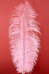 18"-22" OSTRICH FEATHER LIGHT PINK PKG/12