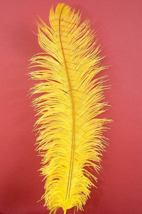 14"-16" OSTRICH FEATHER YELLOW PKG/12
