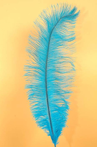 14"-16" OSTRICH FEATHER TURQUOISE PKG/12