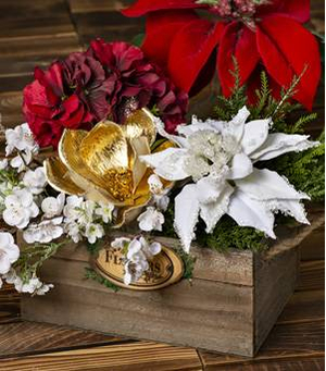 Poinsettias & Other Holiday Flowers