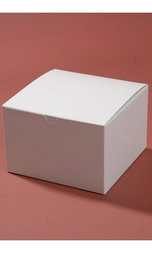6" X 6" X 4" ONE PIECE CARDBOARD BOX WHITE PKG/25