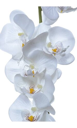 52" ORCHID GARLAND WHITE