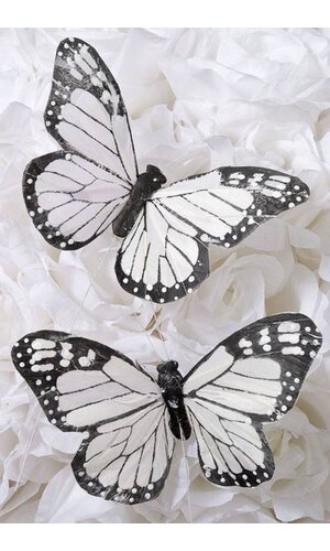 5" DECORATIVE FEATHER BUTTERFLY BLACK/WHITE PKG/12