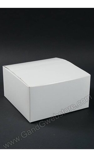 10" X 10" X 6" ONE PIECE BOX WHITE PKG/25