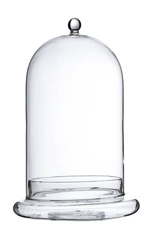 12" TERRARIUM GLASS CLOCHE CLEAR