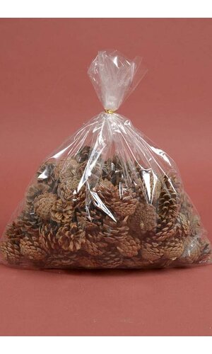 2.5" NATURAL JERSEY PINE CONE BROWN PKG/100