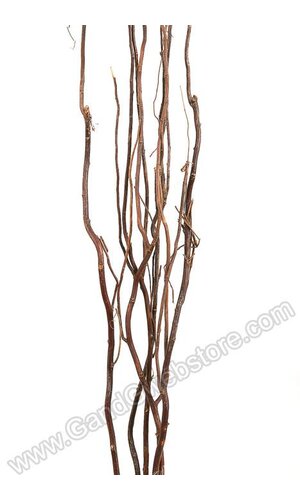 CURLY WILLOW NATURAL