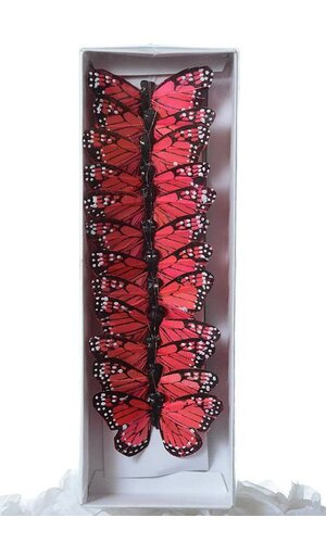 3" FEATHER BUTTERFLY CORAL/RED PKG/12