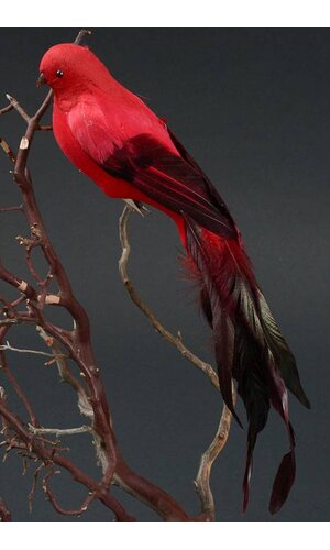 14.5" LONG TAIL FEATHER BIRD W/CLIP RED