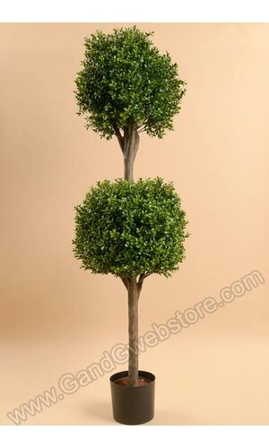4FT DOUBLE BALL BOXWOOD TOP GREEN
