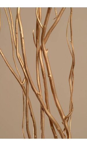 5-6 FT NATURAL CURLY WILLOW GOLD PKG/5