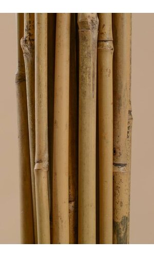 8FT X 1" BAMBOO POLE NATURAL PKG/5