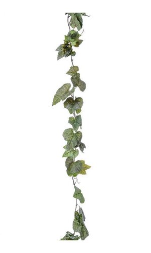 6FT FROSTED GRAPE IVY GARLAND GREEN