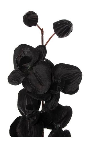 29" PHALAENOPSIS ORCHID SPRAY BLACK