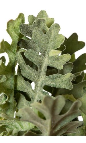 20.5" DUSTY MILLER SPRAY FROSTED GREEN