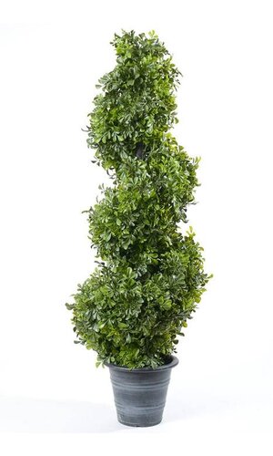 36" BOXWOOD SPIRAL TOPIARY GREEN