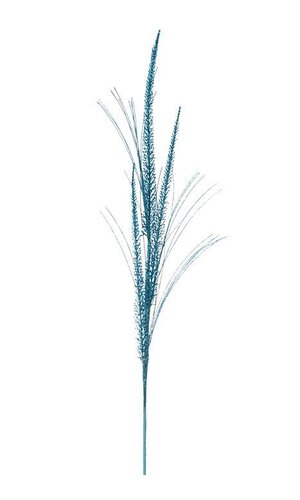 34" GLITTER/MICA TRIPLE SPIKE GRASS SPRAY BLUE