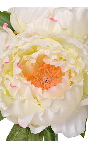 12.5" Peony Bundle W/ 5 Flowers - Cream/Pink