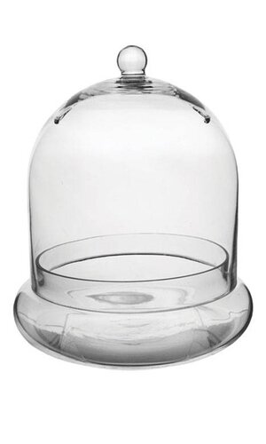 11.5" TERRARIUM GLASS CLOCHE CRYSTAL